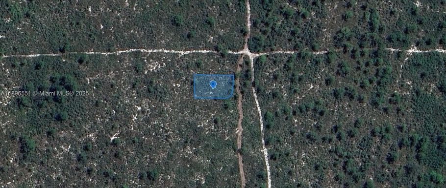 700 Watterson, Lake Placid FL 33852