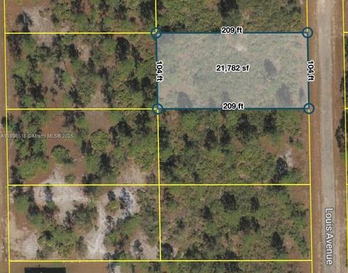 511 LOUIS AVE, Lehigh Acres FL 33972