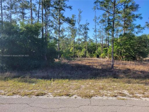 1600 E 15th St, Lehigh Acres FL 33972