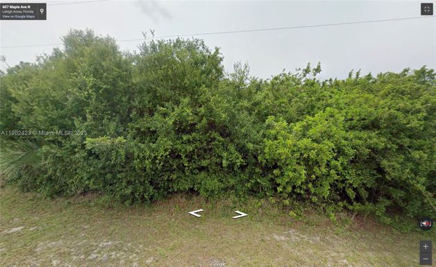 607 MAPLE AVE N, Lehigh Acres FL 33972