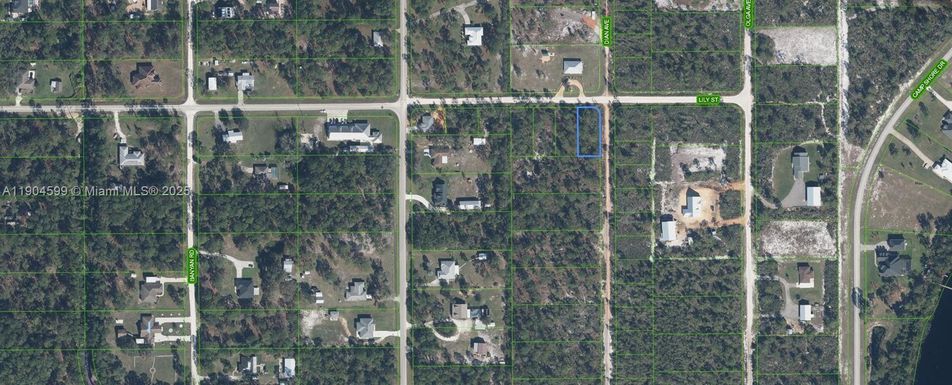 809 Lily Street, Sebring FL 33875