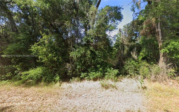 0 Oak Circle, Ocala FL 34472