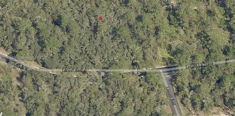 0 Locust Loop Radial, Ocala FL 34472
