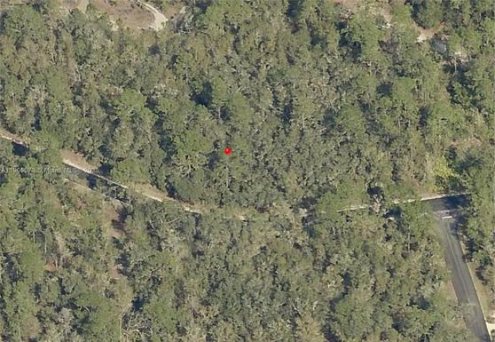 0 Locust Loop Radial, Ocala FL 34472