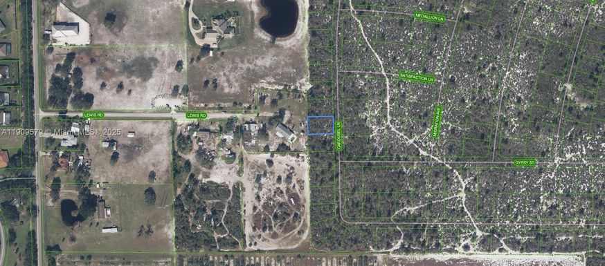 541 Carousel Lane, Lake Placid FL 33852