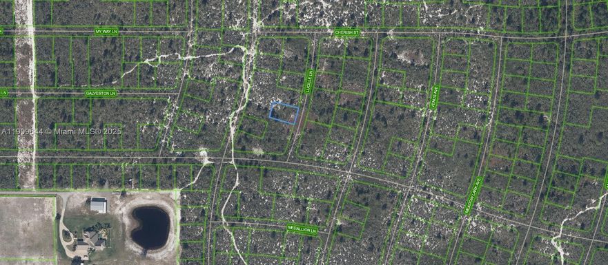 431 Lucille Lane, Lake Placid FL 33852