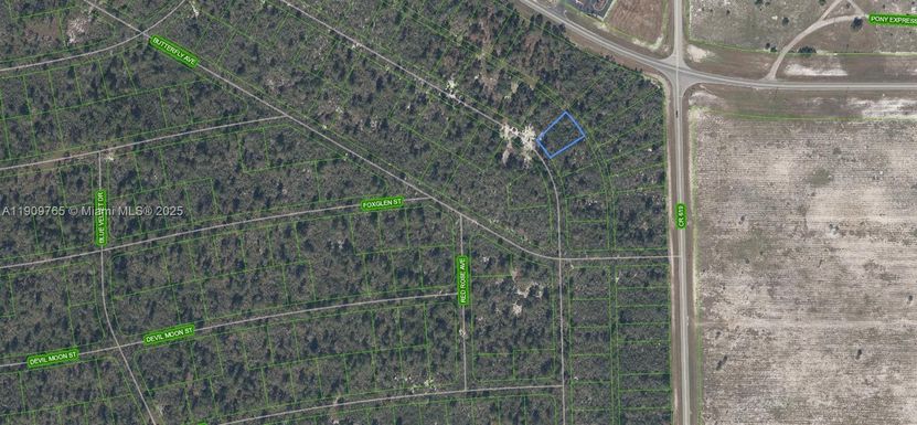 556 Ebbtide, Lake Placid FL 33852