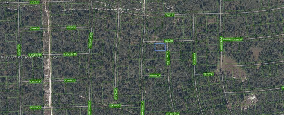305 Dolly Lane, Lake Placid FL 33852