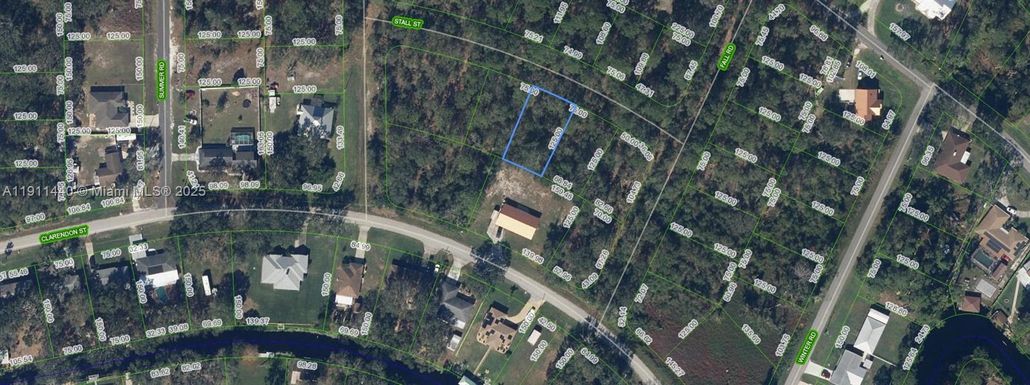 1426 Stall Street, Lake Placid FL 33852