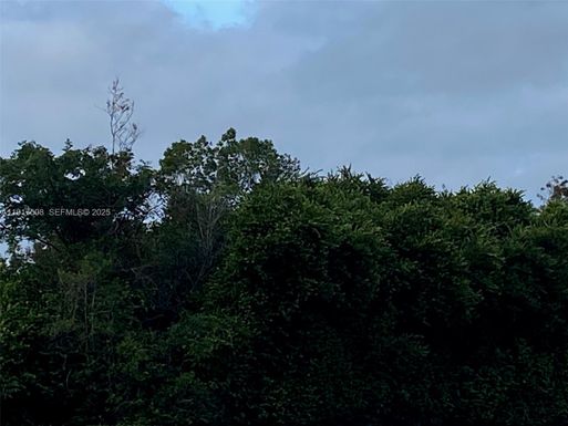 749 Puccini Avenue S, Lehigh Acres FL 33974