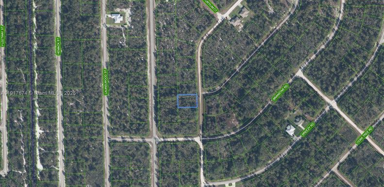 3292 Gossamer Avenue, Lake Placid FL 33852