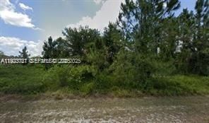 1905 Wells Ave, Lehigh Acres FL 33972