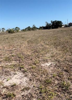 1931 NW 9th Place, Cape Coral FL 33993