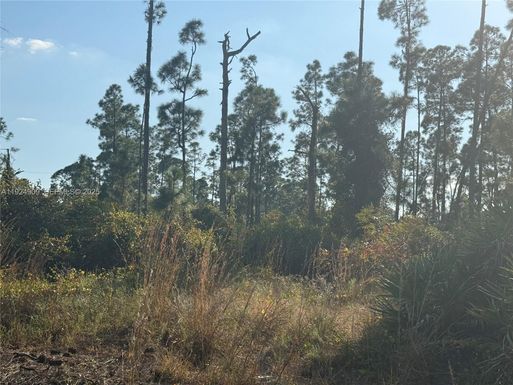 1088/1090 Ainsworth ST E, Lehigh Acres FL 33974