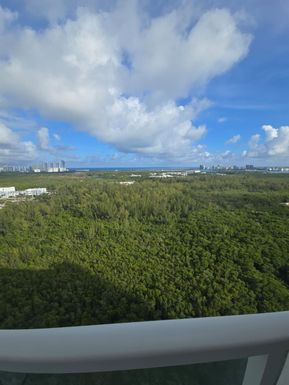 14951 Royal Oaks Ln # 2502, North Miami FL 33181