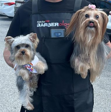 4XXX SW 137, Miami FL 33184