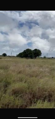 2700 powerline road, Avon Park FL 33825