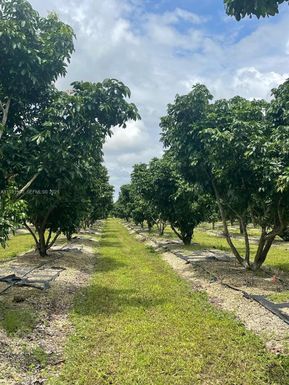 340XX SW 217  AVE, Homestead FL 33034