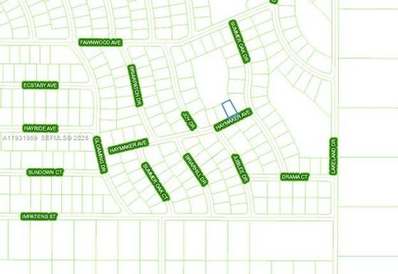 496 HAYMAKER AVE, Lake Placid FL 33852