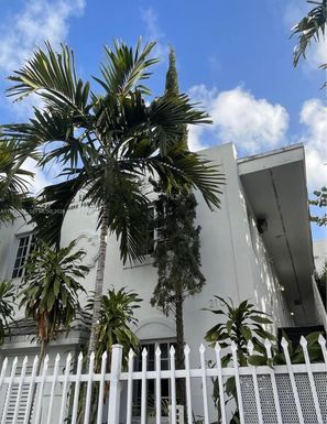 210 NW 16th St # 4, Miami FL 33136