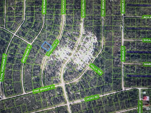 1230 Dogwood, Lake Placid FL 33852