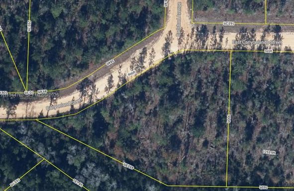 Canyonland Street EAST CANYONLANDS ST, Other City - In The State Of Florida FL 32420