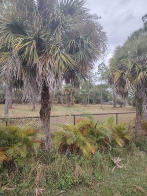 615 621 Hunting Club Ave, Clewiston FL 33440
