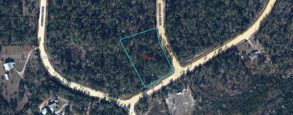 0000 GOREVILLE AVE ALFORD, Other City - In The State Of Florida FL 32420
