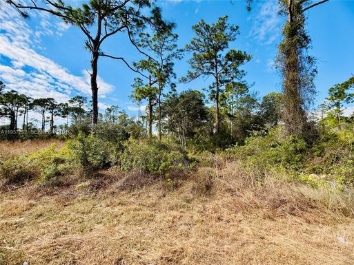 2007 Truman Ave, Other City - In The State Of Florida FL 33920