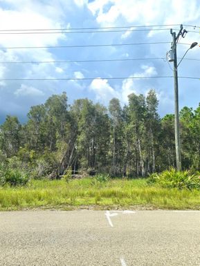 2650 MEADOW RD, Lehigh Acres FL 33974