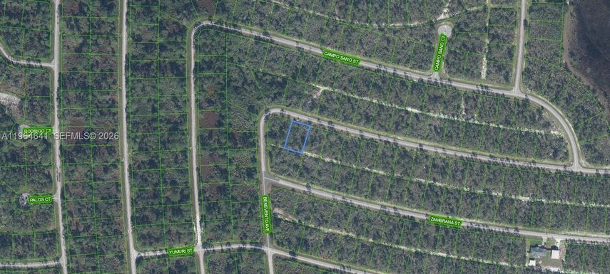 8049 Altara Street, Sebring FL 33872