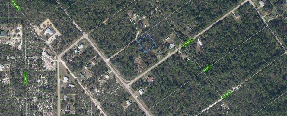 1209 Bradley Avenue, Lake Placid FL 33852