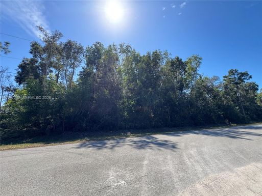 UNINCORPORATED SPANISH OAKS LANE, Other City - In The State Of Florida FL 34119