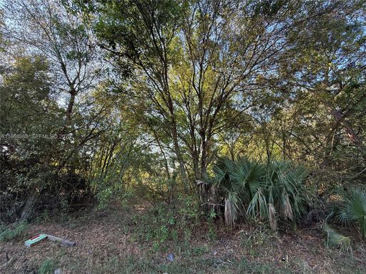 858 WOODLAND BLVD, Clewiston FL 33440