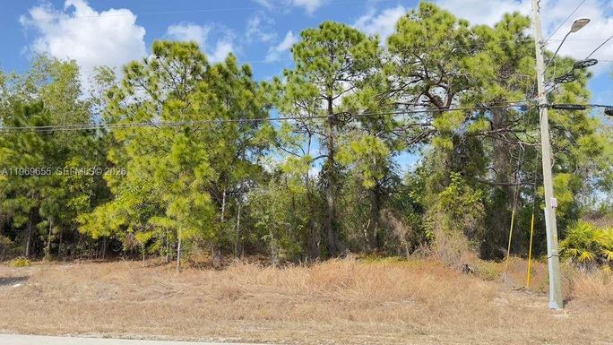 803 E Colyer St, Lehigh Acres FL 33974