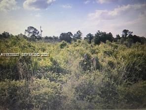 330 Hermosa ave, Lehigh Acres FL 33974