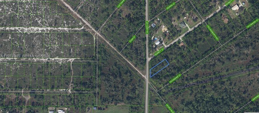 505 Hallmark Avenue, Lake Placid FL 33852