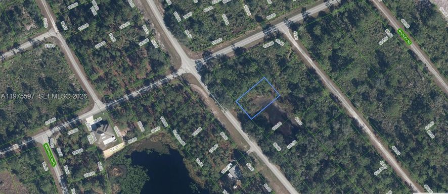 615 Wildflower Street, Lake Placid FL 33852