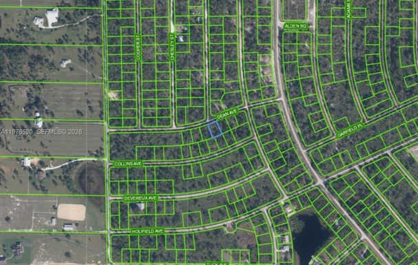 3238 Dean Avenue, Lake Placid FL 33852