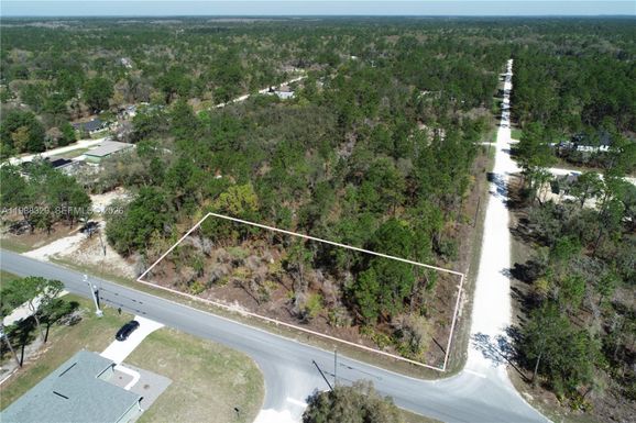 0 WOOD OWL AVE, Other City - In The State Of Florida FL 34614