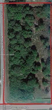 303 Bald Cypress, Clewiston FL 33440