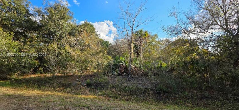 19210 NW 278 st, Okeechobee FL 34972