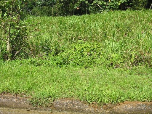 833 CARR KM 6.0 LOT 7, STA ROSA II UNIT Bo. Santa Rosa II