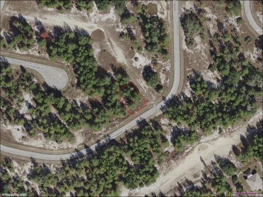 1333 HOMOSASSA DRIVE