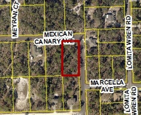 0 MEXICAN CANARY AVENUE Lot 7