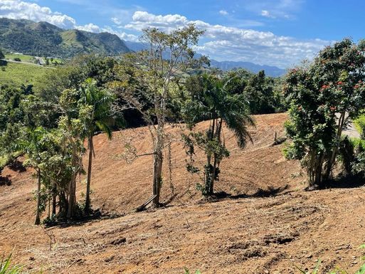 CARR 155 KM 31.5 INT BO. GATO