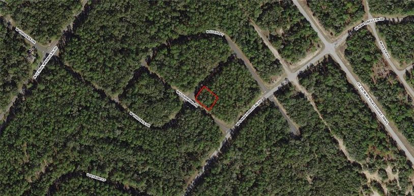 598 W VIRGINIS DRIVE