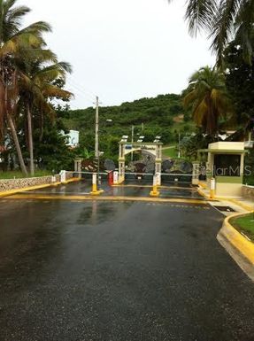 1139 CERRO LAS PIÑAS