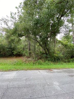 264 BRIDLE PATH LANE