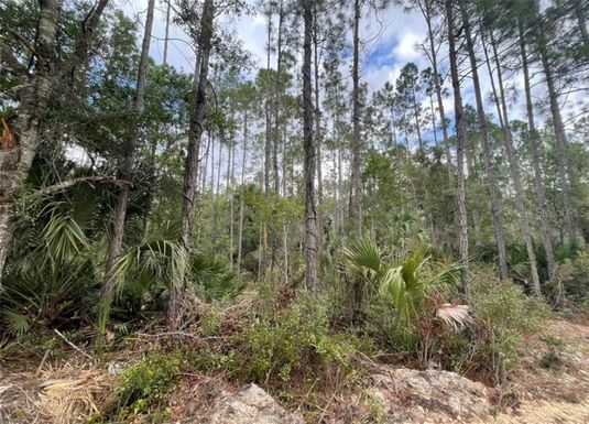 Lot 46 SW 61ST STREET